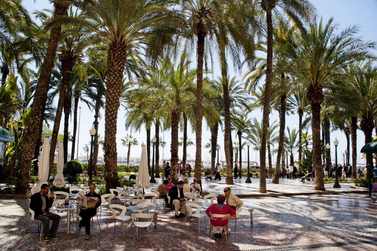 Explanada de Alicante con terraza y palmeras.