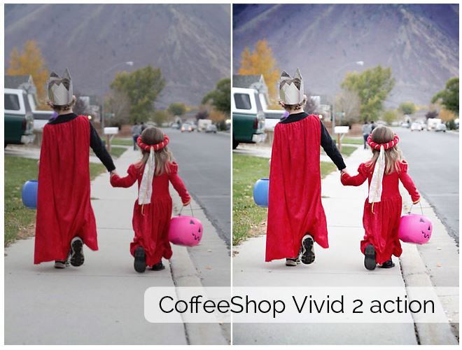 COFFESHOP VIVID 2 ACTION